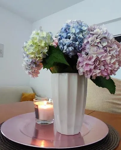 Mirijana Apartman Pula