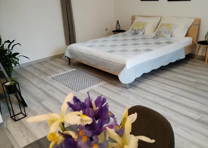 Mirijana Apartman Pula