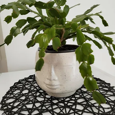 Mirijana